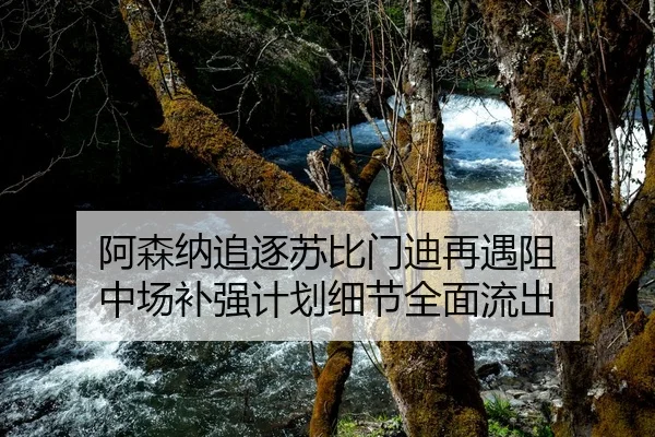 阿森纳追逐苏比门迪再遇阻 中场补强计划细节全面流出